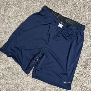 Nike Men's Navy Performance Shorts